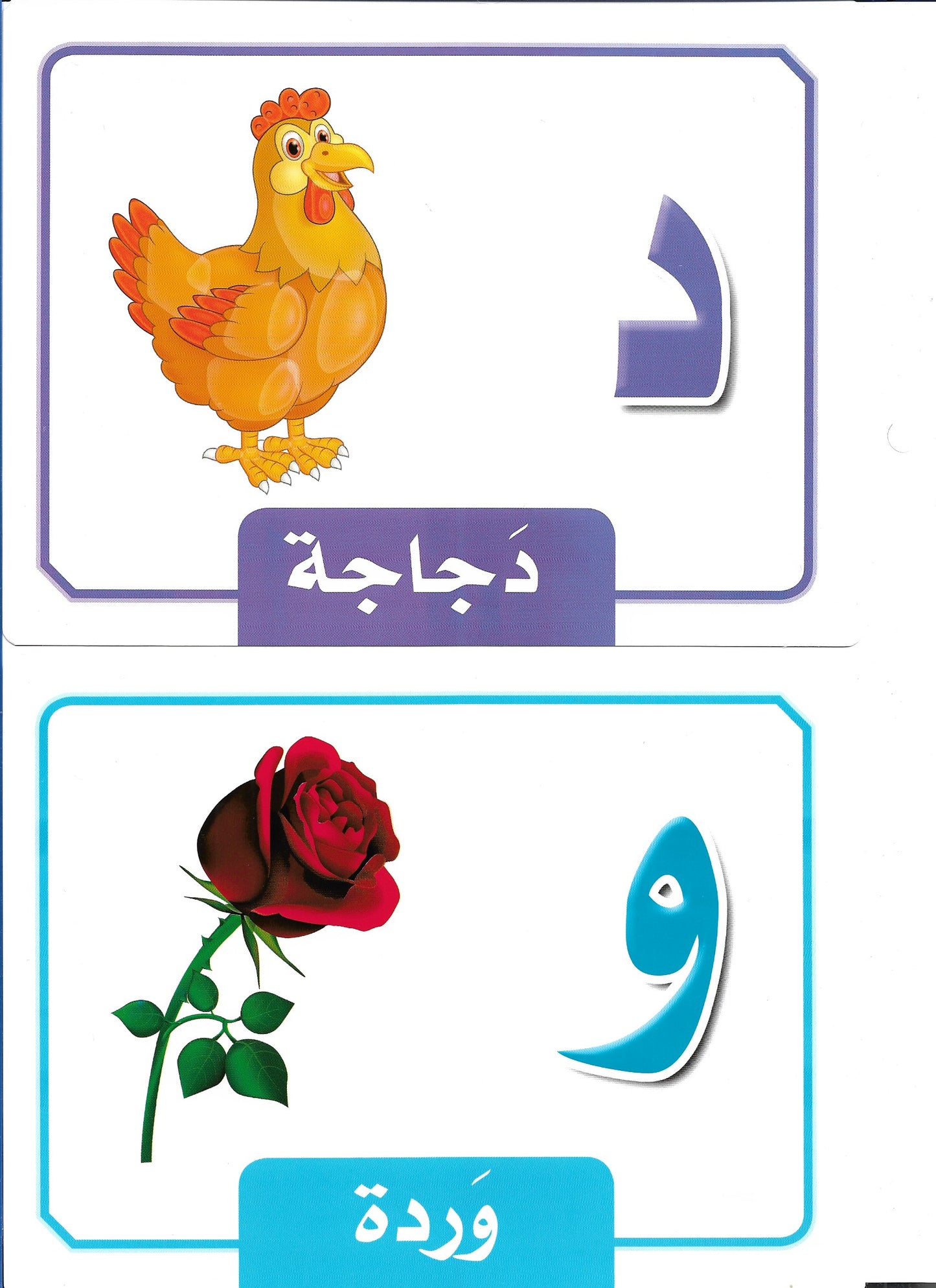 Arabic letter cards