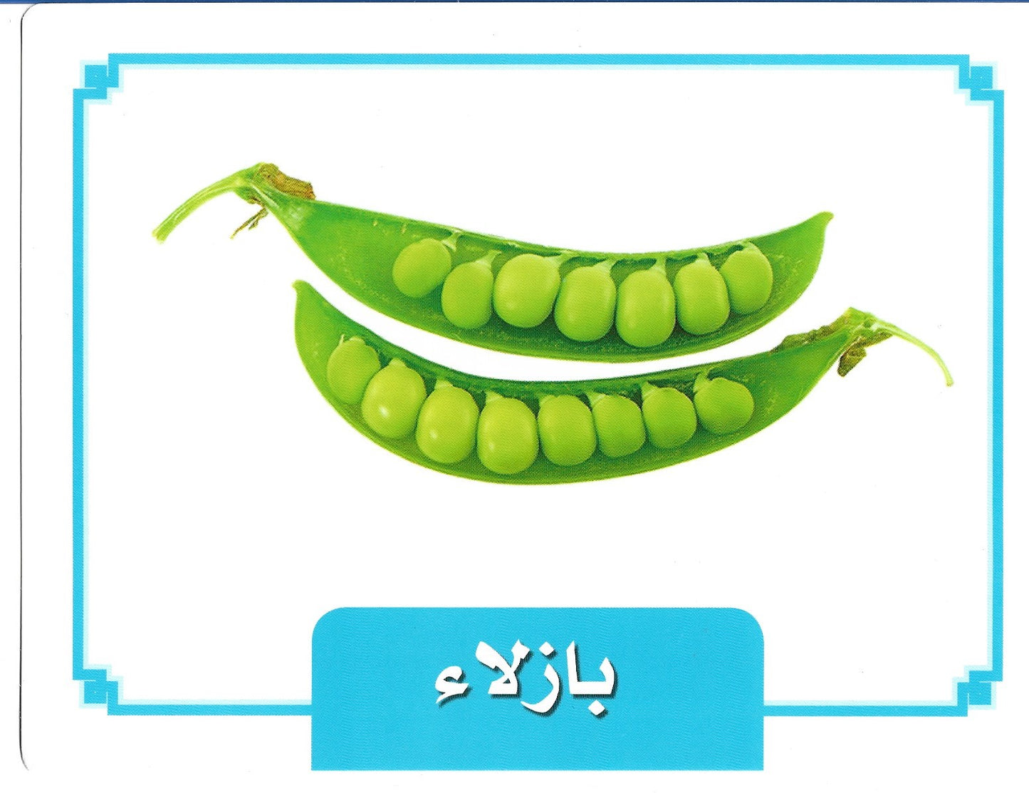 Vegetable Cards